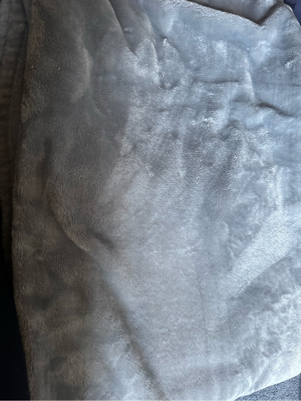 Soft Plush Throw Blanket in Light Gray